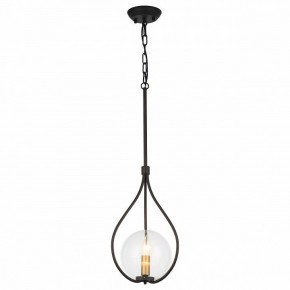 Подвесной светильник Favourite Kessel 1905-1P в Салехарде - salekhard.mebel24.online | фото 2