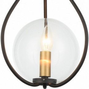 Подвесной светильник Favourite Kessel 1905-1P в Салехарде - salekhard.mebel24.online | фото 3