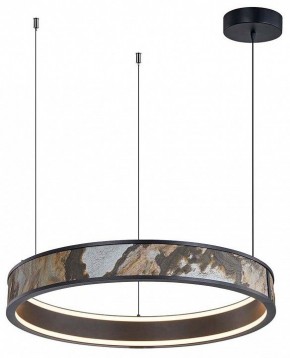 Подвесной светильник Favourite Lago 4598-1P в Салехарде - salekhard.mebel24.online | фото 2