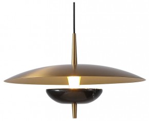 Подвесной светильник Favourite Marmo 4246-1P в Салехарде - salekhard.mebel24.online | фото