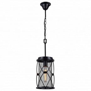 Подвесной светильник Favourite Mesh 1783-1P в Салехарде - salekhard.mebel24.online | фото 2