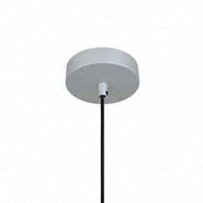 Подвесной светильник Favourite Otium 2270-1P в Салехарде - salekhard.mebel24.online | фото 4