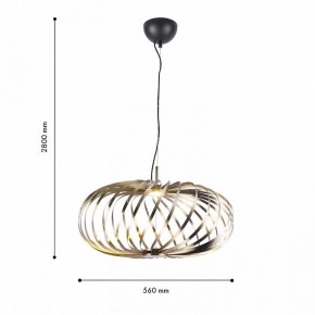 Подвесной светильник Favourite Spring 4680-1P в Салехарде - salekhard.mebel24.online | фото 4