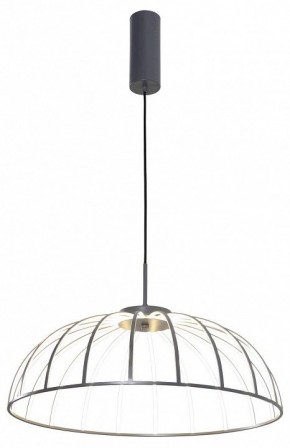 Подвесной светильник Favourite Vertex 4285-6P в Салехарде - salekhard.mebel24.online | фото 2