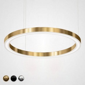 Подвесной светильник Imperiumloft Light Ring Horizontal 40.1454-100 в Салехарде - salekhard.mebel24.online | фото