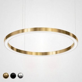 Подвесной светильник Imperiumloft Light Ring Horizontal 40.1454-120 в Салехарде - salekhard.mebel24.online | фото
