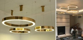 Подвесной светильник Imperiumloft Light Ring Horizontal 40.1454-120 в Салехарде - salekhard.mebel24.online | фото 2