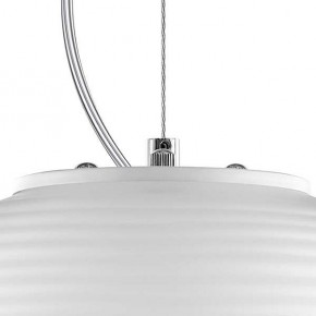 Подвесной светильник Lightstar Arnia 805011 в Салехарде - salekhard.mebel24.online | фото 6