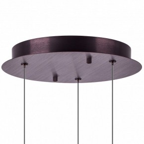Подвесной светильник Lightstar Caramello 796139 в Салехарде - salekhard.mebel24.online | фото 13