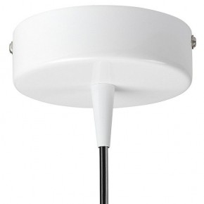 Подвесной светильник Lightstar Conicita 804110 в Салехарде - salekhard.mebel24.online | фото 6