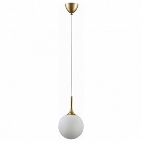 Подвесной светильник Lightstar Globo 813022 в Салехарде - salekhard.mebel24.online | фото 2