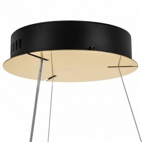 Подвесной светильник Lightstar Helio 703163 в Салехарде - salekhard.mebel24.online | фото 7