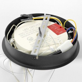 Подвесной светильник Lussole Hale LSP-7380 в Салехарде - salekhard.mebel24.online | фото 6