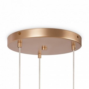 Подвесной светильник Maytoni Basic form MOD521PL-03G в Салехарде - salekhard.mebel24.online | фото 6