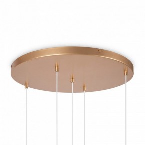 Подвесной светильник Maytoni Basic form MOD521PL-05G в Салехарде - salekhard.mebel24.online | фото 6