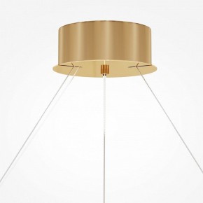 Подвесной светильник Maytoni Castello MOD336PL-L170G3K в Салехарде - salekhard.mebel24.online | фото 4