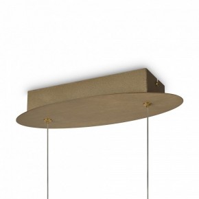 Подвесной светильник Maytoni Curve MOD156PL-L52G4K в Салехарде - salekhard.mebel24.online | фото 5
