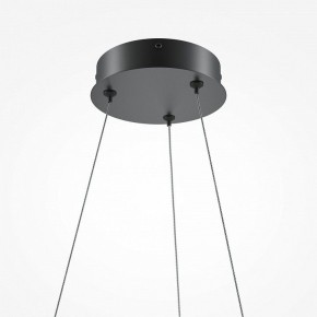 Подвесной светильник Maytoni Curve MOD241PL-L60BK в Салехарде - salekhard.mebel24.online | фото 6