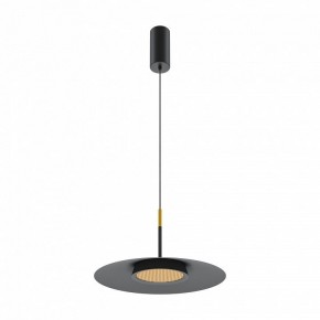 Подвесной светильник Maytoni Halo MOD041PL-L15B3K1 в Салехарде - salekhard.mebel24.online | фото 2