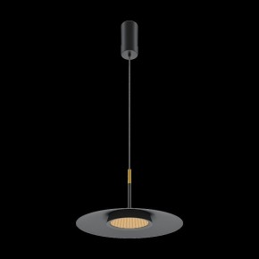 Подвесной светильник Maytoni Halo MOD041PL-L15B3K1 в Салехарде - salekhard.mebel24.online | фото 4