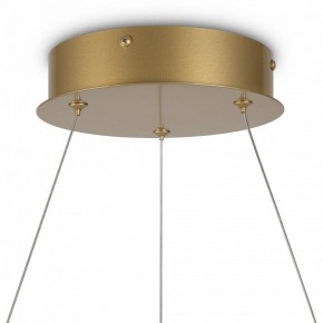 Подвесной светильник Maytoni Halo MOD100PL-L47BSK1 в Салехарде - salekhard.mebel24.online | фото 6