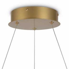 Подвесной светильник Maytoni Halo MOD100PL-L88BSK1 в Салехарде - salekhard.mebel24.online | фото 6