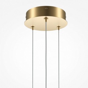 Подвесной светильник Maytoni Halo MOD247PL-L49BSK в Салехарде - salekhard.mebel24.online | фото 6