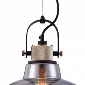 Подвесной светильник Maytoni Irving T163PL-01C в Салехарде - salekhard.mebel24.online | фото 9