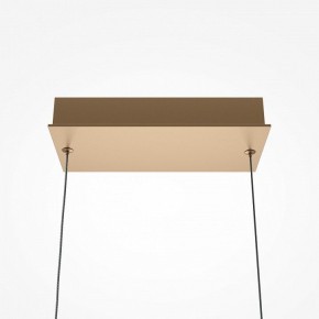 Подвесной светильник Maytoni Plons MOD283PL-L40BS3K в Салехарде - salekhard.mebel24.online | фото 4