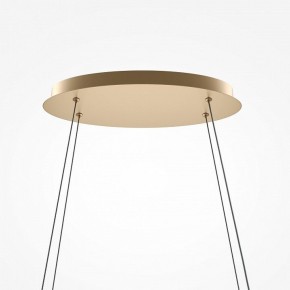 Подвесной светильник Maytoni Plons MOD283PL-L65BS3K в Салехарде - salekhard.mebel24.online | фото 4
