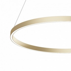 Подвесной светильник Maytoni Rim MOD058PL-L42BSK в Салехарде - salekhard.mebel24.online | фото 4