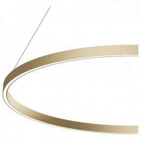 Подвесной светильник Maytoni Rim MOD058PL-L54BS4K в Салехарде - salekhard.mebel24.online | фото 5