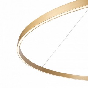 Подвесной светильник Maytoni Rim MOD058PL-L65BSK в Салехарде - salekhard.mebel24.online | фото 5