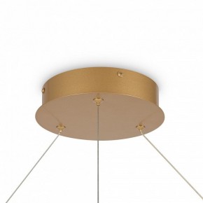 Подвесной светильник Maytoni Rim MOD058PL-L65BSK в Салехарде - salekhard.mebel24.online | фото 6