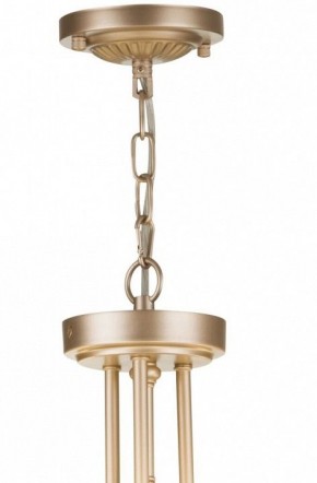 Подвесной светильник Maytoni Roma ARM006PL-06G в Салехарде - salekhard.mebel24.online | фото 5
