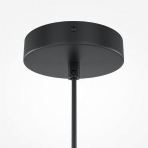 Подвесной светильник Maytoni Roots MOD194PL-01W1 в Салехарде - salekhard.mebel24.online | фото 5