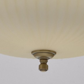 Подвесной светильник MW-Light Афродита 1 317010504 в Салехарде - salekhard.mebel24.online | фото 9