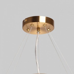 Подвесной светильник MW-Light Илоника 10 451013006 в Салехарде - salekhard.mebel24.online | фото 10