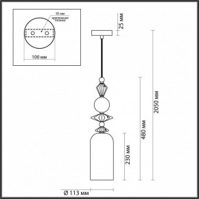 Подвесной светильник Odeon Light Bizet 4855/1 в Салехарде - salekhard.mebel24.online | фото