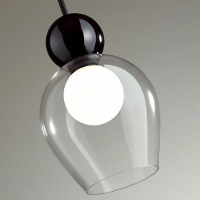 Подвесной светильник Odeon Light Blacky 2 5023/1 в Салехарде - salekhard.mebel24.online | фото 6