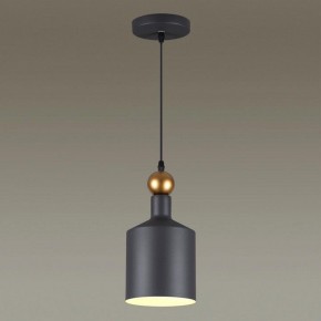 Подвесной светильник Odeon Light Bolli 4085/1 в Салехарде - salekhard.mebel24.online | фото 3