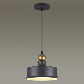Подвесной светильник Odeon Light Bolli 4088/1 в Салехарде - salekhard.mebel24.online | фото 4