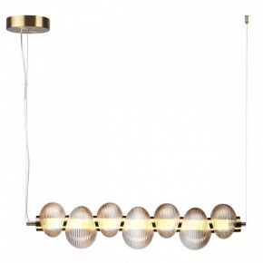 Подвесной светильник Odeon Light Bruco 5095/24L в Салехарде - salekhard.mebel24.online | фото 2