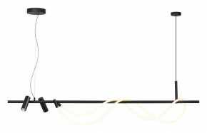 Подвесной светильник Odeon Light Corda 4391/40L в Салехарде - salekhard.mebel24.online | фото 2