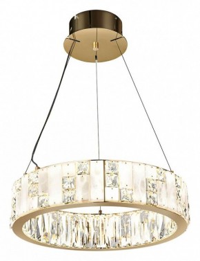 Подвесной светильник Odeon Light Crossa 5072/60L в Салехарде - salekhard.mebel24.online | фото 2