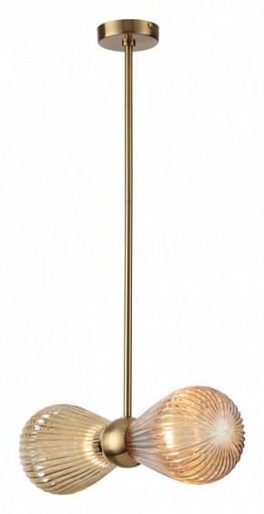 Подвесной светильник Odeon Light Elica 5402/2 в Салехарде - salekhard.mebel24.online | фото 2