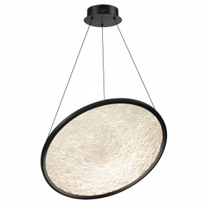 Подвесной светильник Odeon Light Fuso 7046/41L в Салехарде - salekhard.mebel24.online | фото 2
