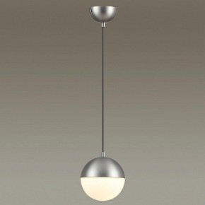 Подвесной светильник Odeon Light Pinga 4959/1 в Салехарде - salekhard.mebel24.online | фото 2