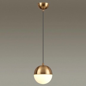 Подвесной светильник Odeon Light Pinga 4960/1 в Салехарде - salekhard.mebel24.online | фото 2