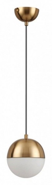 Подвесной светильник Odeon Light Pinga 4960/1 в Салехарде - salekhard.mebel24.online | фото 3
